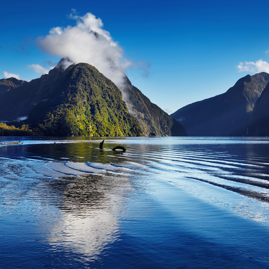 New Zealand Untouched: Fjords, Peaks, and Geothermal Trails